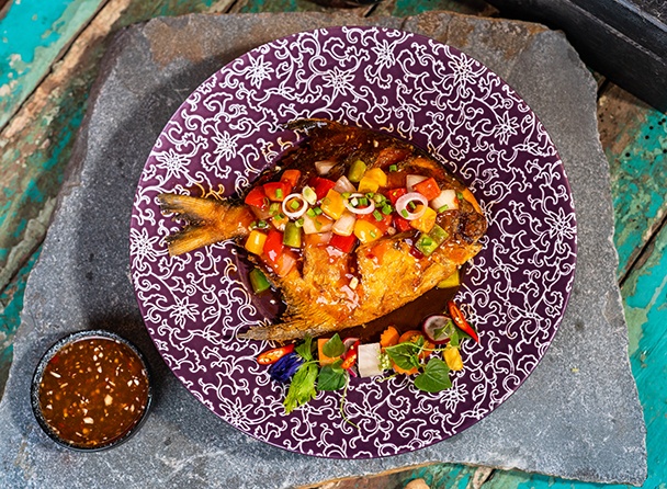 food-dish